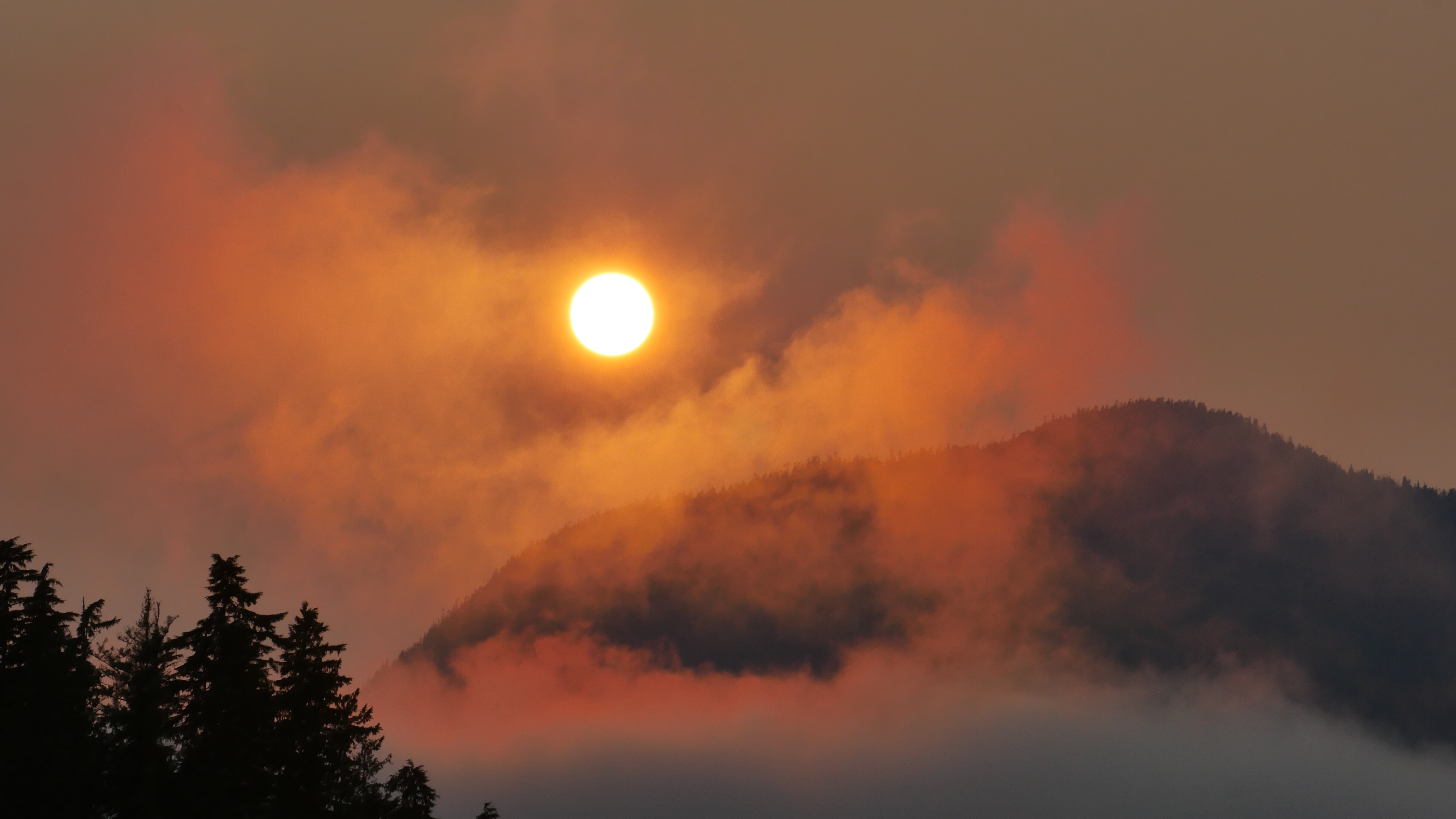 Vancouver Island wilderness